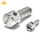  Good Price Drilled Head Capstan Sealing Screws, Closure Meter Screws