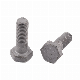  Hex Head Cap Screw Manufacturer ANSI/ASTM/ASME Hex Bolt with HDG More More Than 10 Years Produce Experience Factory