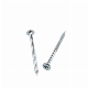 Nail Screw with Zinc Plated 4.5X72 More Than 10 Years Produce Experience Factory