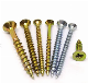 Countersunk Head Pan, Truss, Flat, Oval, Round, Cheese Drywall Gypsum Screws