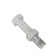  China Factory DIN933/DIN931 Hot DIP Galvanized Hexagon Head Bolt with Nut En14399-3/En14399-4