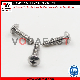  Vodafast DIN 7981 Pan Head Phillips Tapping Screw A2 Stainless Steel