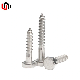  Stainless Steel SS304/SS316 DIN571 Hex Head Wood Screw/Hex Lag Screw A2/A4
