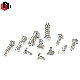Stainless Steel T Head Bolt Square Head Bolt with Full/Partial Thread
