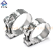 Stainless Steel 201 303 304 316 European Type High Pressure Heavy Duty T-Bolt Hose Clamp