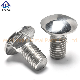 Stainless Steel DIN 603 Carriage Bolt with Square Neck