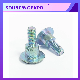  Steel Plated Color Stud Half Thread Bolts Made in China Factory