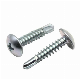 13mm-100mm 3.5mm-6.5mm Tianjin Wood Screw/Roofing Screw/Machine Screw/Tornillo Machine Screw with GS