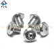 Metric Size Hex Socket Flat Round Head Screw Stainless Steel Pan Screw Bolt