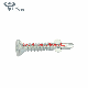 Wing Tek Screw Self Drilling Screw Suquare Bit Screw