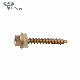  DIN7504 Hex Head Tapping Screw