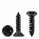  Carbon Steel Countersunk Head Phillips Cross Recessed Drive Type a/Ab Self-Tapping Screw