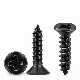Carbon Steel Countersunk Head Phillips Cross Recessed Drive Type a/Ab Self-Tapping Screw