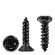  Carbon Steel Countersunk Head Phillips Cross Recessed Drive Type a/Ab Self-Tapping Screw