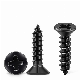 Carbon Steel Countersunk Head Phillips Cross Recessed Drive Type a/Ab Self-Tapping Screw
