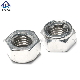 Profeeioanl Stainless Steel SS304 S316 DIN980m Hexagon Shapehex Metal Insert Lock Nut