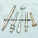 Special Screw Anchor Bolts Stud Bolt T-Bolts Double End Bolt