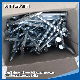 Factory Wholesale 1"-4" Galvanized Black White Concrete / Roofing / Shoe Tack / Common / Nails for Africa Nigeria / Ethiopia Market with White Blue Color