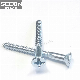 China Export Manufacture Stainless Steel 304 / 316 Wood Screw Deck Screw for Laptop Factory OEM