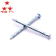  Q195 Polished Nail/Galvanized Iron Roofing Nail/Ring Steel Nail/Coil Nail/U Type Nail/Metal Nail for Construction