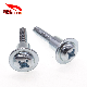  Chinese Customized Professional Motorcycle Titanium Alloy Screws