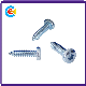  Stainless Steel Torx/Torx Plus Pan Head Self-Tapping Screw for Building/Railway
