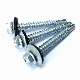  Tianjin Factory Direct Zinc Plated Variety Kind of Self-Drilling Screw