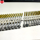 Ruifeng Brand 3.1*90mm Galvanized Plastic Strip Collated Pneumatic Gun Nails in Anhui.