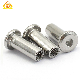  Professional Chicago Screws/Male Female Screw