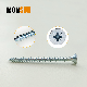  High Quality Clear Blue Zinc Plated Serrated Thread Pozi Recess Self-Tapping Chipboard Screw/MDF Screws