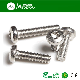  SS304 SS316 Stainless Steel Torx Recess Pan Round Head Screw