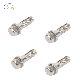 Customized Non-Standard Titanium Bolt Nut Fastener T-Shape Special Bolt Screw