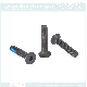 Stainless Steel 304 Black Screw /A2-70 Hex Socket Countersunk Machine Screw /Customized Screw with Nylon Patch Sandblasting and Blackening Fastener
