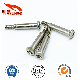 Non-Standard Customized Carbon Steel Shoulder Phillips/Crosss Screw