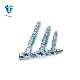  Flat Head Countertop Bolts Blue Zinc Decking Screws Pozi Drive Drywall Screws Confirmat Screws