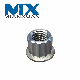  High Strength Gr5 Titanium Alloy 12 Points Hex Flange Nuts for Motorcycle