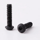  Black Zinc Plated /Dacromet Pan Head Hex Slot Security Machine Screws