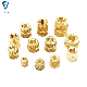  M2 M3 M4 M5 M6 M8 M10 Thread Knurled Nut Insert Nuts Brass Heat Inserts Nut Threaded Nuts for Plastic