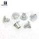 Accept OEM Bolt and Nuts Supplier Automobile Parts Hollow Rivet