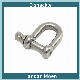 High Quality Carbon Zinc/Stainless Steel D Shackle M6-M24 Size