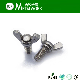  Stainless Steel Butterfly Wing Bolt DIN316
