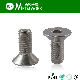  Stainless Steel Hex Socket Countersunk Head Screw (DIN7991)