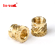 Brass Threaded Bushings for 3D Printing SL-B-M2.5/Shz-M2.5-5.74, Knurled Brass Insert Nut Threaded Insert Nut Brass Nut