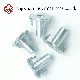 Zinc Plated High-Strength Galvanized Multi-Size Wooden Board Insert Fixing Carbon Steel Tee Nut Fastener