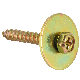  Hex Phillip Sems Combination Self Tapping Screws with Flat Washer