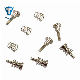  Laptop Notebook Screws and Bolts From Shanghai Tengri