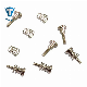 Laptop Notebook Screws and Bolts From Shanghai Tengri