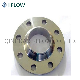 Stainless Steel Weld Neck Flanges