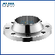  Stainless Steel Welding Neck Threaded Forged Flanges Flanges