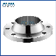 Stainless Steel Welding Neck Threaded Forged Flanges Flanges